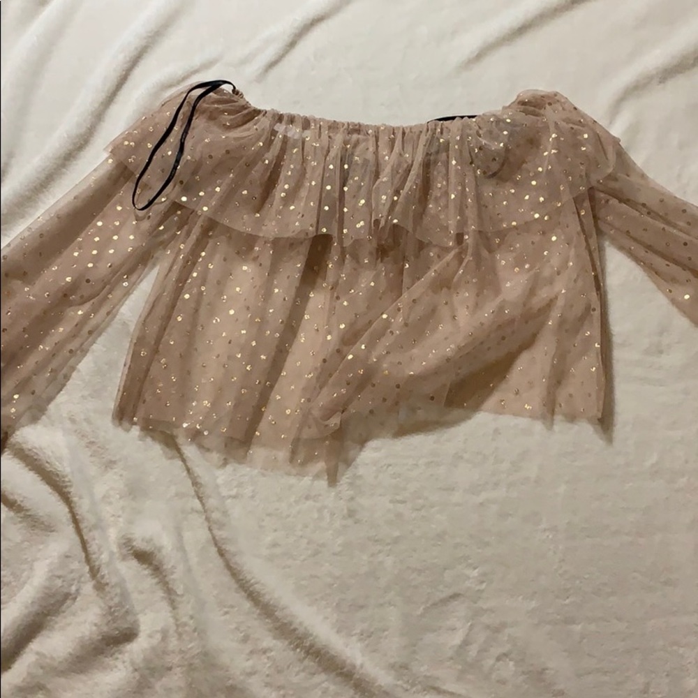 Beautiful sparkling meshy blouse✨